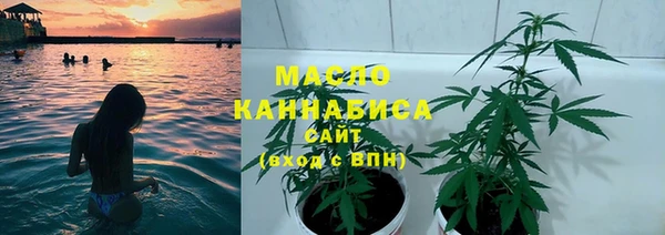 гидра Пересвет
