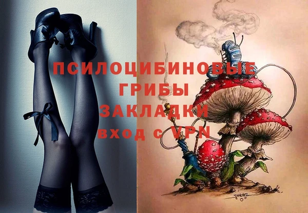 гидра Пересвет