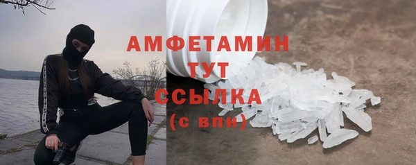 гидра Пересвет
