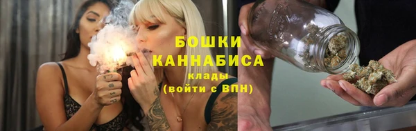 гидра Пересвет