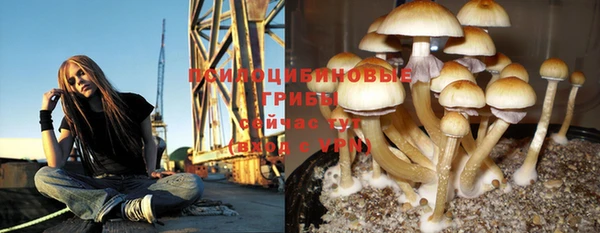 мескалин Переславль-Залесский