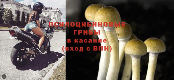 гидра Пересвет