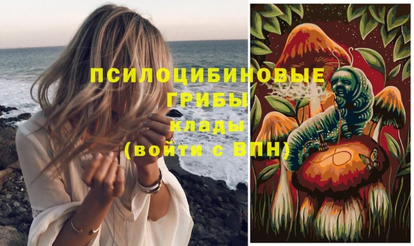 гидра Пересвет